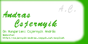 andras csjernyik business card
